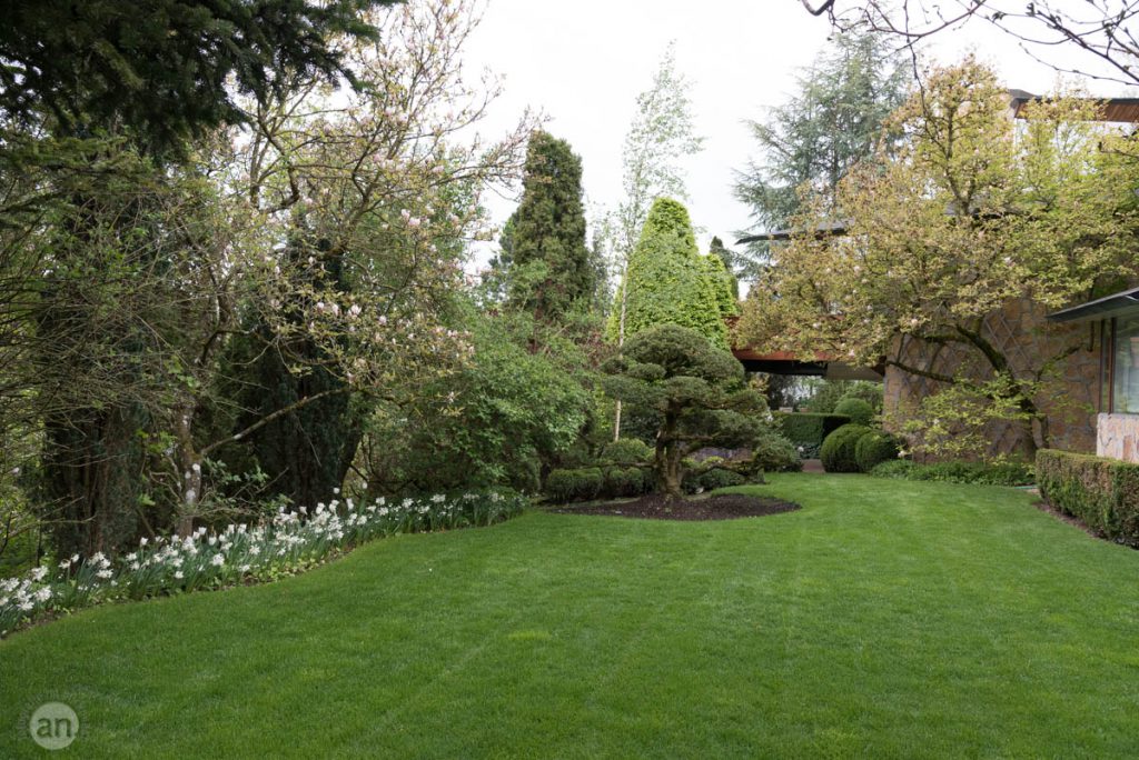 Der Garten Von Prof Dr Doschka Nussle Fotografie