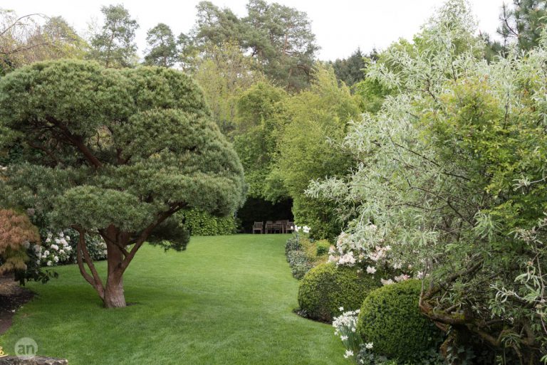 Der Garten Von Prof Dr Doschka Nussle Fotografie