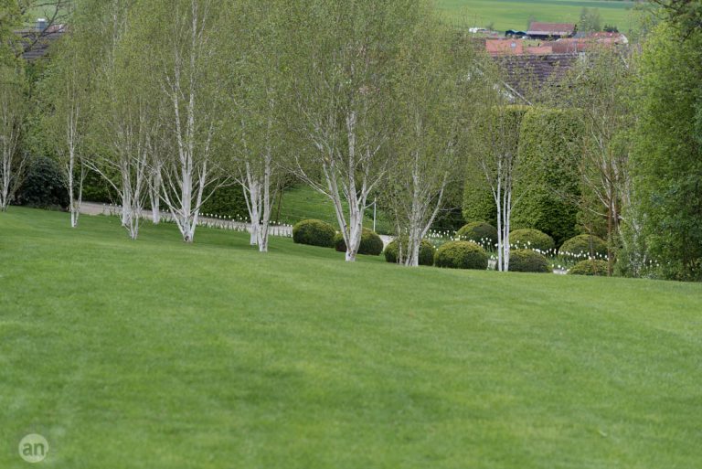 Der Garten Von Prof Dr Doschka Nussle Fotografie